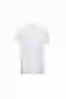 Resim DOLCE&GABBANA BASKILI ERKEK T-SHIRT G8KBAZ-G7D9U